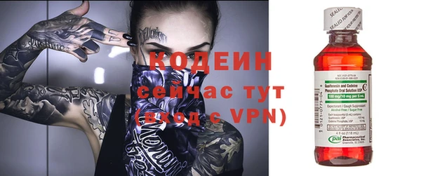ГАЛЛЮЦИНОГЕННЫЕ ГРИБЫ Строитель