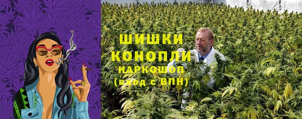 шишки Балахна